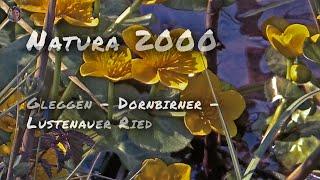 Natura 2000 - Wasser, Fauna und Flora im Dornbirner und Lustenauer Ried