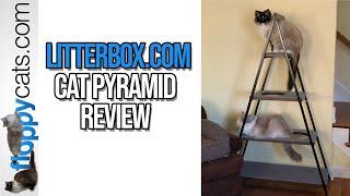 Litterbox.com Cat Pyramid Cat Tree for Large Cats Product Review