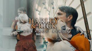 harley quinn + rick flag | strange birds [+TSS]