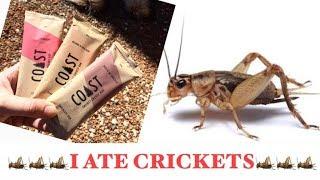 TRYING Coast Protein Cricket Energy Bars | Sustainable living