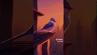 Sunset Sentinel: A Bird's Perch #sza #bigboy #lyrics #sunsetlover #foryou #trending #shorts