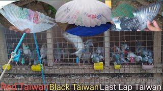 SOBRANG DAMI NA NAMAN NATING TAIWAN | QUALITY | LAST LAP