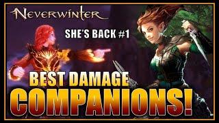 NEW TOP DAMAGE COMPANIONS: Xuna, Wiggins, Etrien, Tutor, Flame Sprite! - Neverwinter M29 Preview