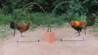 Chicken Trap Easy | Simple Bird Trap Using Woods