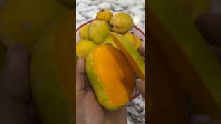 Ripe Mango #sweetmango #ripemango #shorts #trending #youtubeshorts