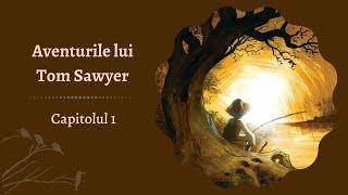 Aventurile lui Tom Sawyer de Mark Twain - Capitolul 1/36 (Audiobook)