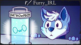 r/FurryIRL - HERE COMES 2021