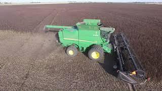 Fabelle Faba Bean Harvest