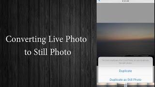 How to Save a Still Image from a Live Photo?