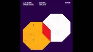 Adam Beyer & Joseph Capriati - Family Matters (Original Mix)