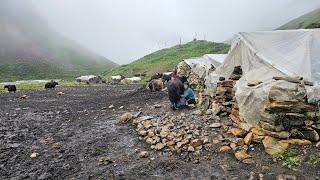 Himalayan Shepherd Life | The Making Process of Ghee in the himalayan Yak farm | Dolpa | Nepal|