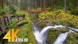 4K Virtual Hike - Amazing Nature Scenery with Soothing Music - Sol Duc Falls Nature Trail