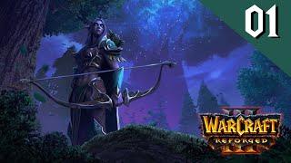 Der Feind vor den Toren - Warcraft 3 Nachtelfen 01 - Rohdia97