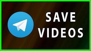 How to save Telegram videos to your Gallery on Android 12 (2022)
