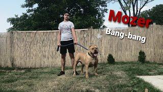 Mozer - Bang-bang (Official Music Video)