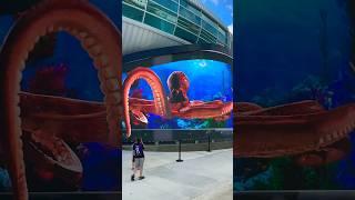 Sea creatures attack at the Port of #Nassau #Bahamas ! PART 4 #octopus