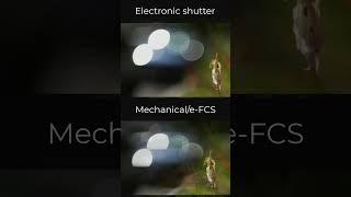 Bokeh photography tips. Bokeh ball effects with Mechanical vs. Electronic shutter settings.