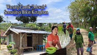 Blusukan Sawah Nemu Warung Cantik Yang Indah Jangan Kesini Dijamin Pasti Ketagihan