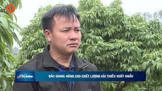 BẮC GIANG: NÂNG CAO CHẤT LƯỢNG VẢI THIỀU XUẤT KHẨU | VTV5