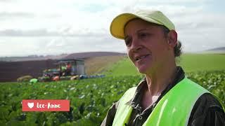 Tassie Harvest Jobs
