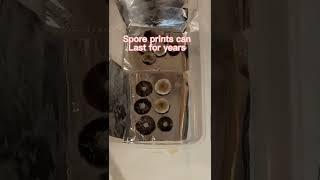 How to make a spore print￼