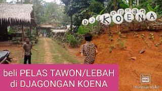 DJAGONGAN KOENA Kejawar Banyumas #PelasTawon# #Dan3Petualang#