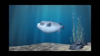 THE STORY OF FUGU |ARTHUR PHILIPPE | 1080p