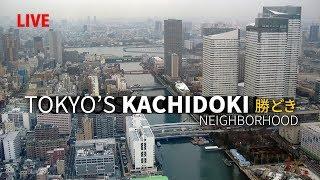 Tokyo’s Kachidoki Bridge and Neighborhood | Insider View