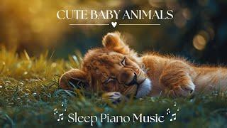 Cute Baby Animals  Relaxation Film with Peaceful Relaxing Music [𝗦𝗟𝗘𝗘𝗣 𝗣𝗜𝗔𝗡𝗢] and Animals Video