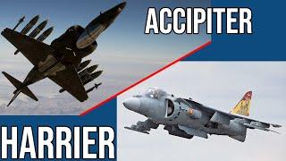 Project Wingman Planes In Real Life