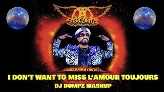 Gigi D'Agostino vs Aerosmith - I Don't Want to Miss L'Amour Toujours (DJ Dumpz Mashup)