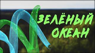 Лес и климат.Часть первая-"Зеленый океан"