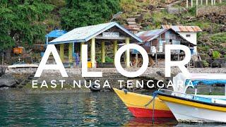 This is ALOR ISLAND in East Nusa Tenggara, Indonesia | Stunning coastlines, diving & a dugong 