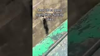 Bear does gang signs then dies