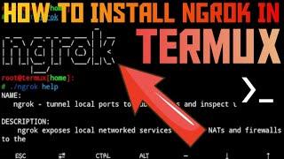 how to install NGROK in Termux 