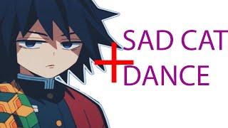 SAD CAT DANCE + GIYU TOMIOKA  = ??? Demon Slayer Season 3 SAD CAT DANCE NEZUKO KAMADO