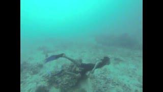 [ SPORT ] FREEDIVE OpenWater Pulau Cangke Pangkep