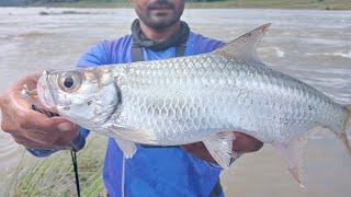 tarpan fishing big lur pe  // Kati fishing