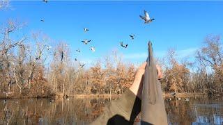 Duck Hunting: Fog, Sunshine, Mallards, and a 7 Bird Rain Out!