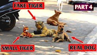 fake tiger prank on dog so funny 2021 |  Fake tiger vs dog