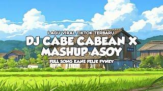 DJ CABE CABEAN X MASHUP VIRAL TIK TOK TERBARU 2024 [ Felik Felik ]