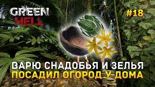 Варю снадобья и зелья. Посадил огород у дома - Green Hell #18