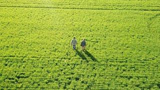 Growing community trust in the grains industry