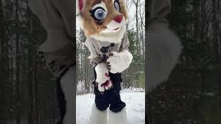 Idk TITLEEE #furry #furries #fursuit #viral #tiktok #fyp #shorts #antizoo #fursona #kemono