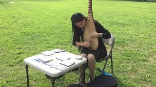 Amazing Pipa Street Performance -  "Yang Jin"