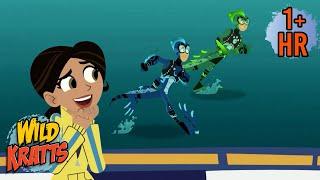 The Amazing Water Running Lizard | Basilisk Lizard Powers | New Compilation | Wild Kratts