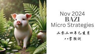 November 2024 Bazi Micro Strategies  二零二四年乙亥月八字预测