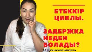 Етеккір циклы. Неге задержка болады? #етеккир #месячные #менструальныйцикл #менструация