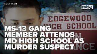 MS-13 gang member attends Maryland High School as murder suspect, school not told