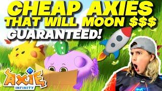 AXIE INFINITY CHEAP AXIES THAT WILL GO UP IN PRICE! GUARANTEED!